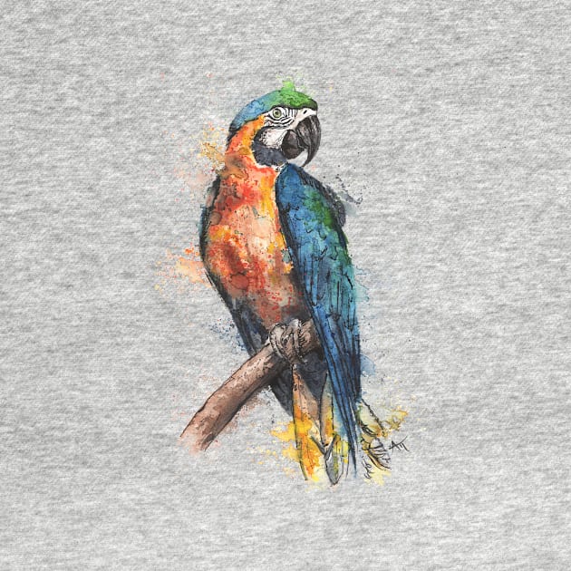 Macaw Parrot by Andraws Art